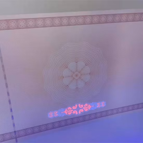Genuine Original Mimaki UV