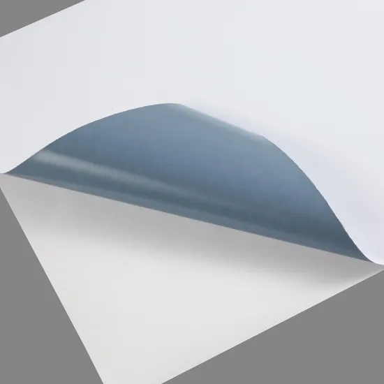 Signapex High Quality 80micros/100micros PVC Self Adhesive Vinyl Roll for Solvent/Eco